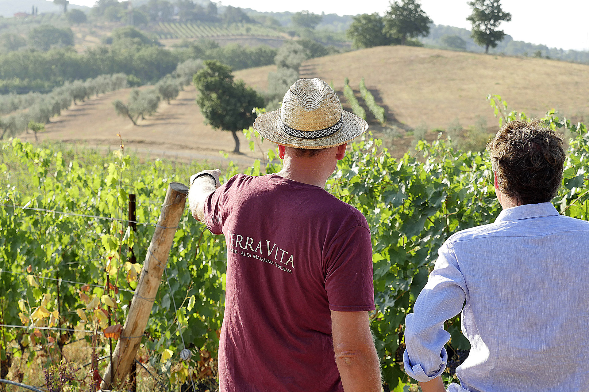 TerraVita Società Agricola SS