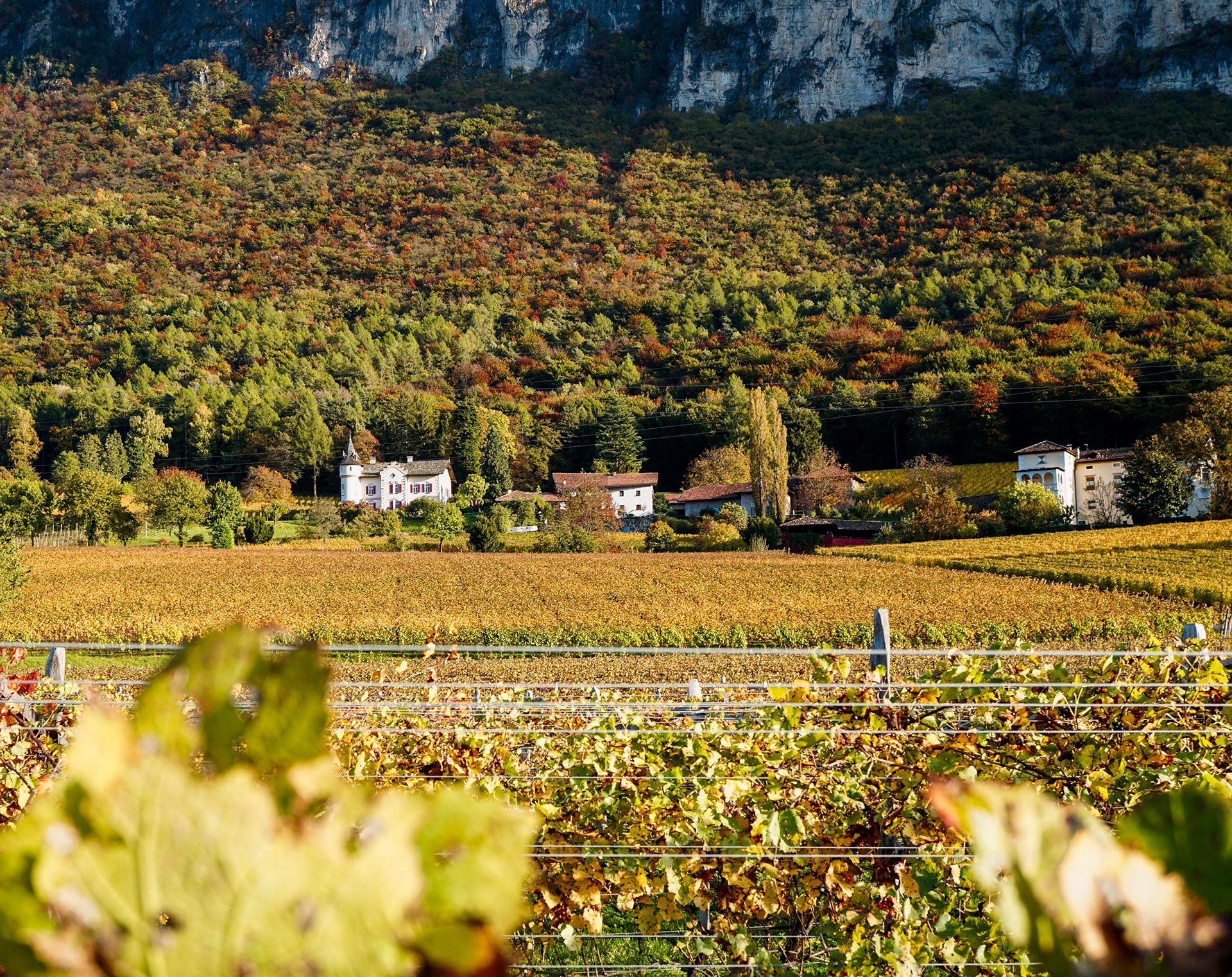 Weingut Gottardi