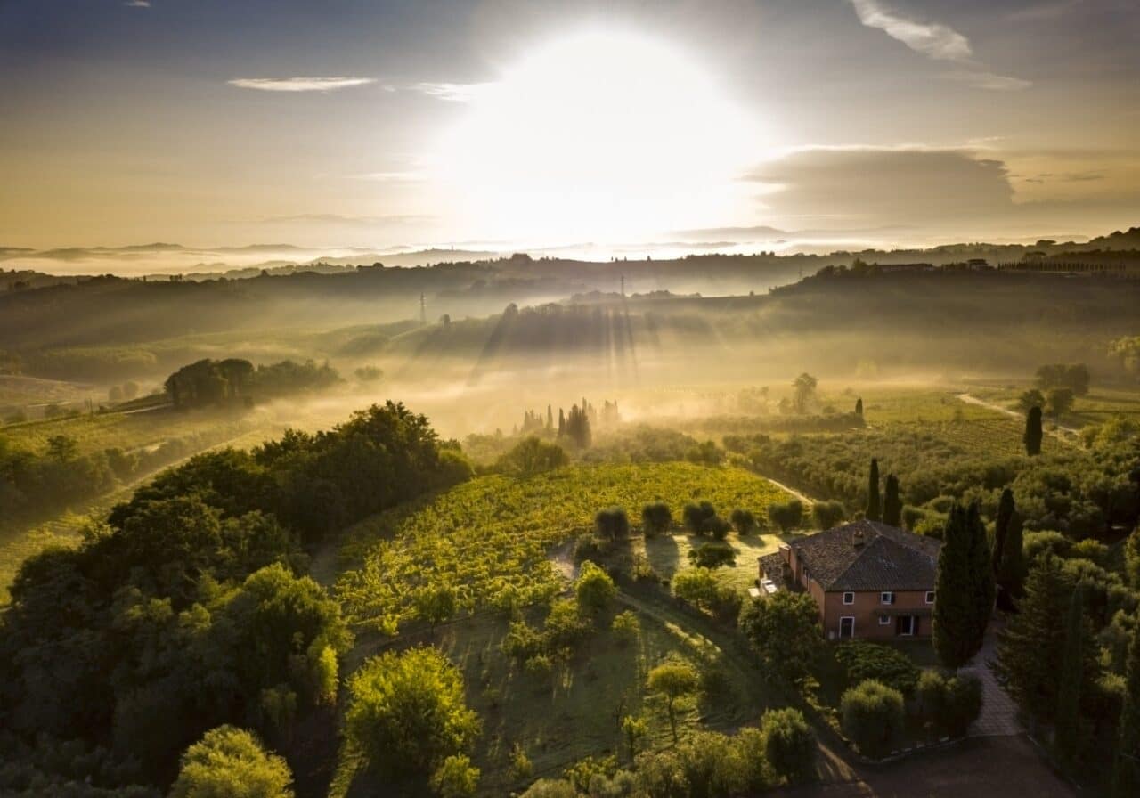 Società Agricola Sorelle Palazzi Srl
