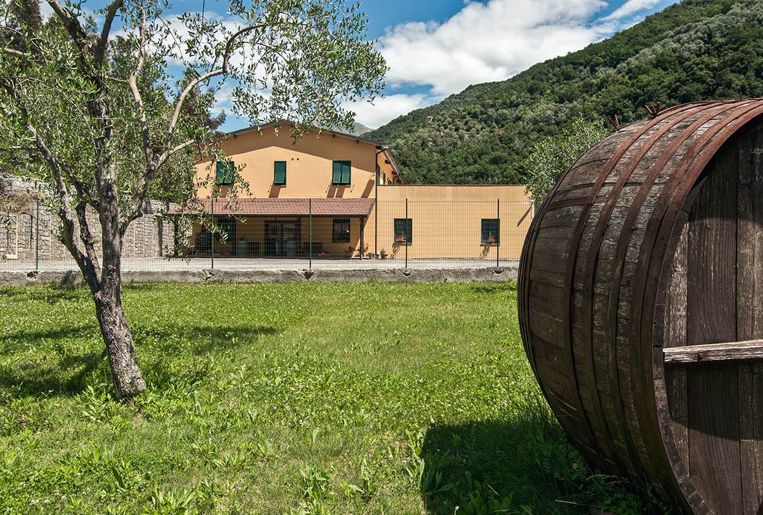 Agricola Gajaudo