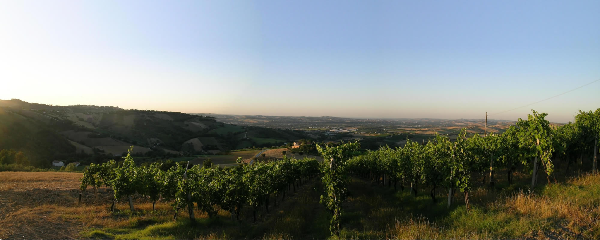 Azienda Agricola Ceci Enrico