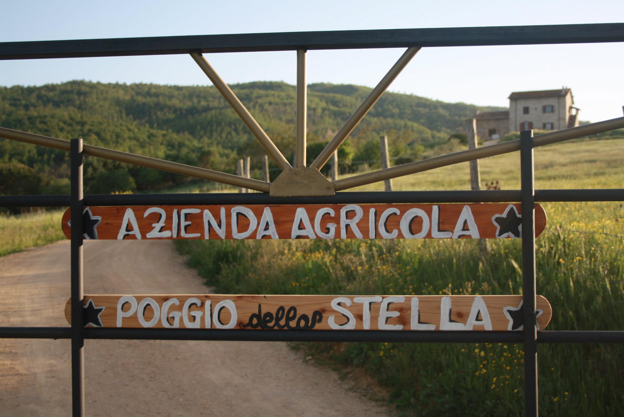 Azienda Agricola Poggio della Stella