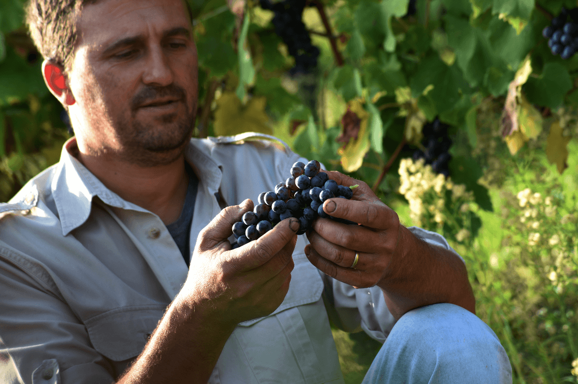 Azienda agricola Sandri Sergio
