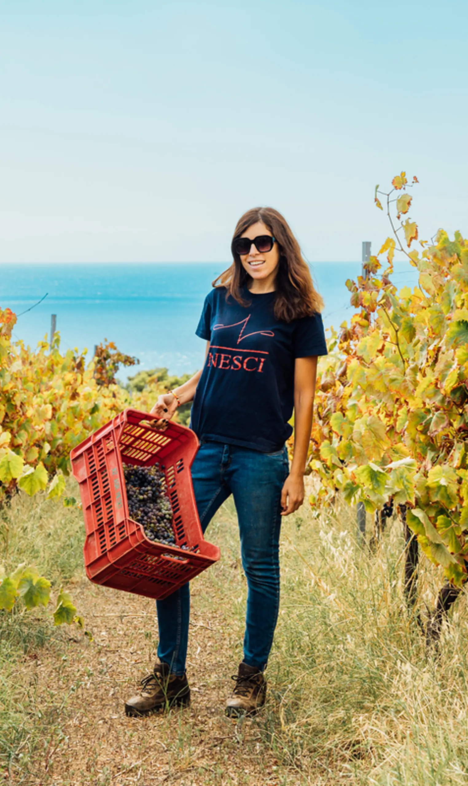 Azienda Nesci