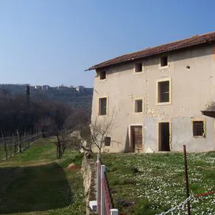 Boni Alessandro