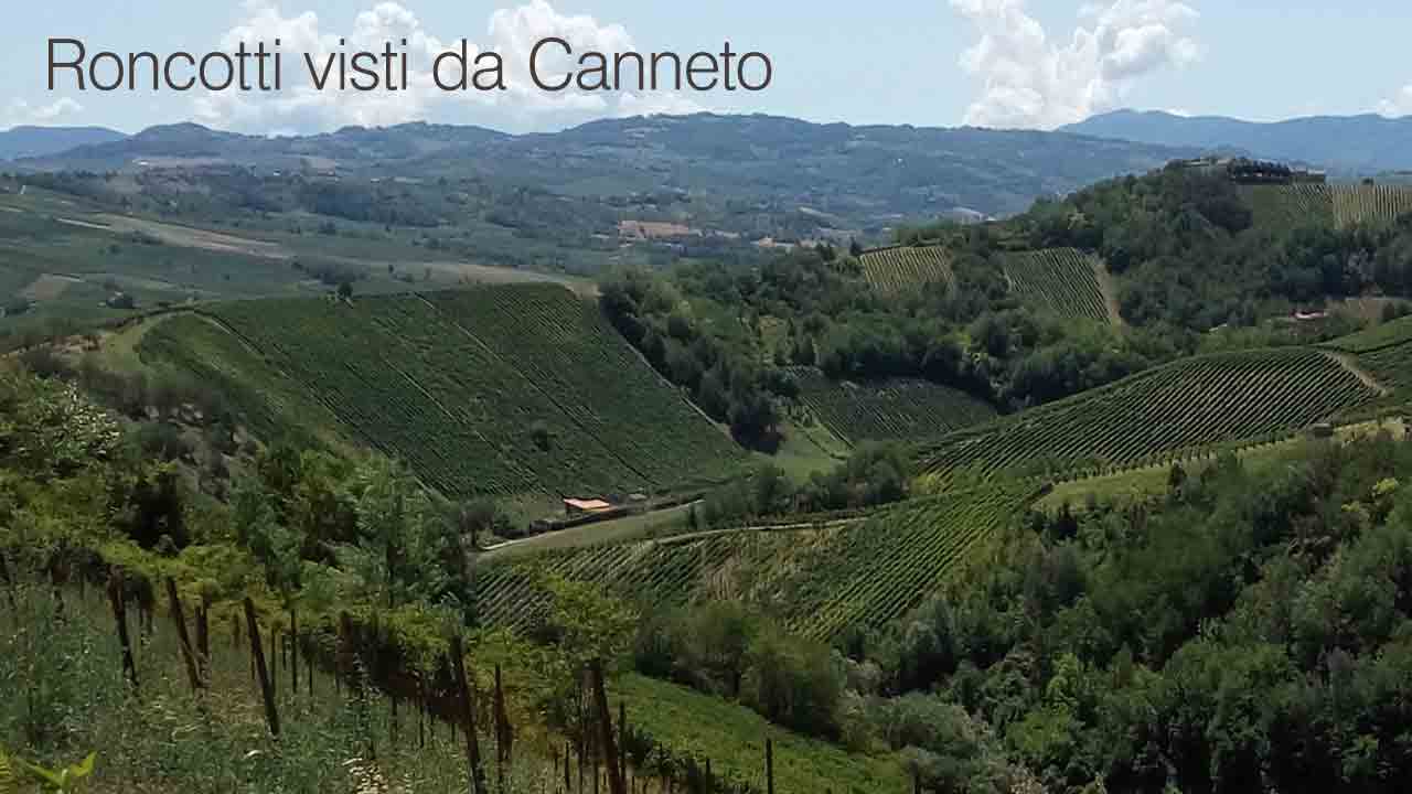 Bricco dei Roncotti