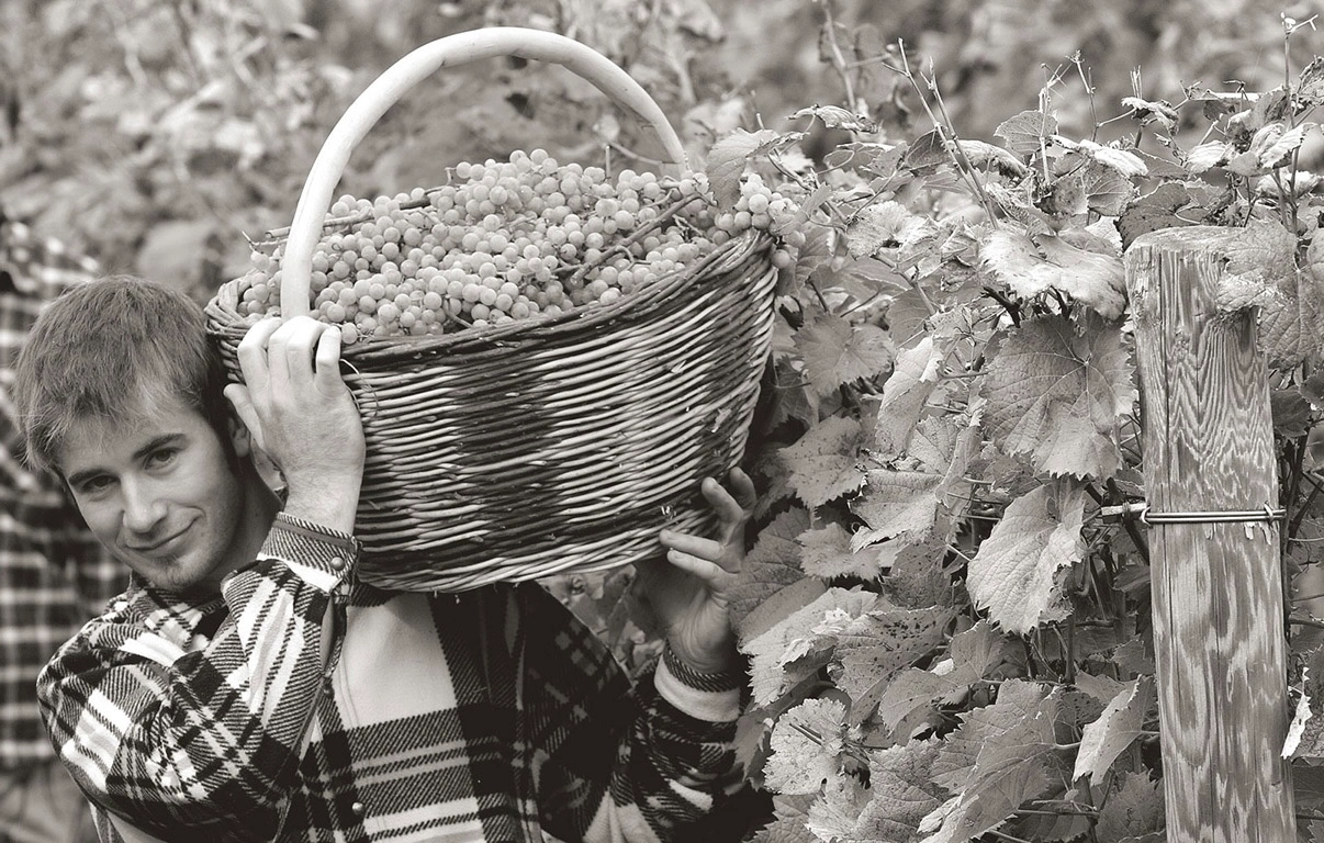 Cantina Augusta