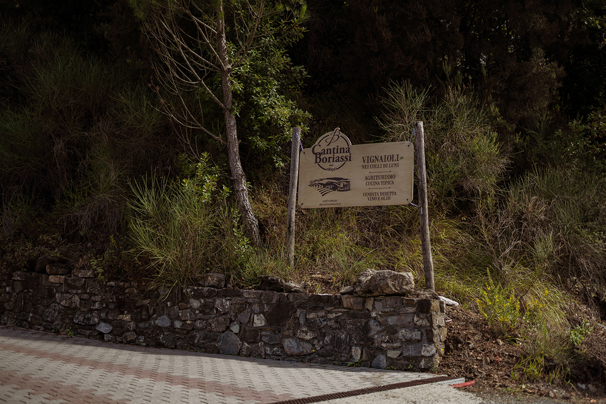 Cantina Boriassi