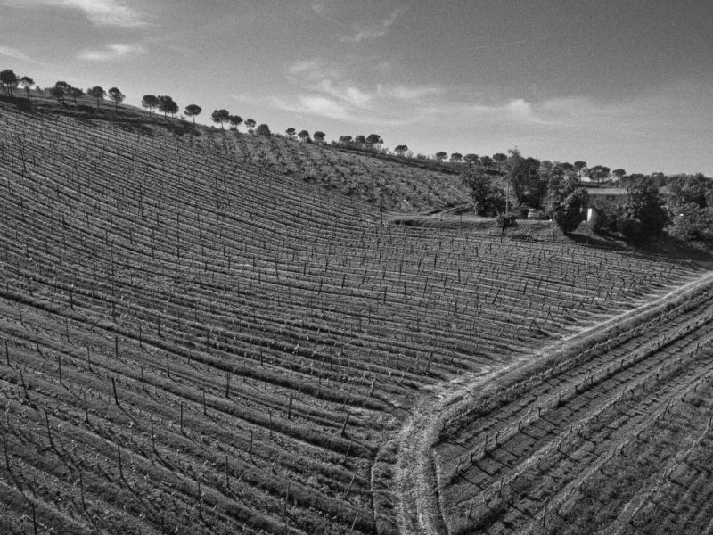 Cantina Bulzaga