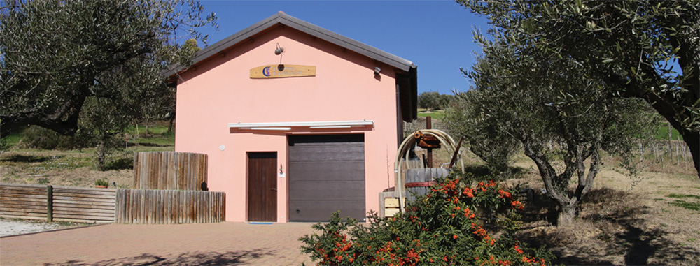 Cantina Castellani