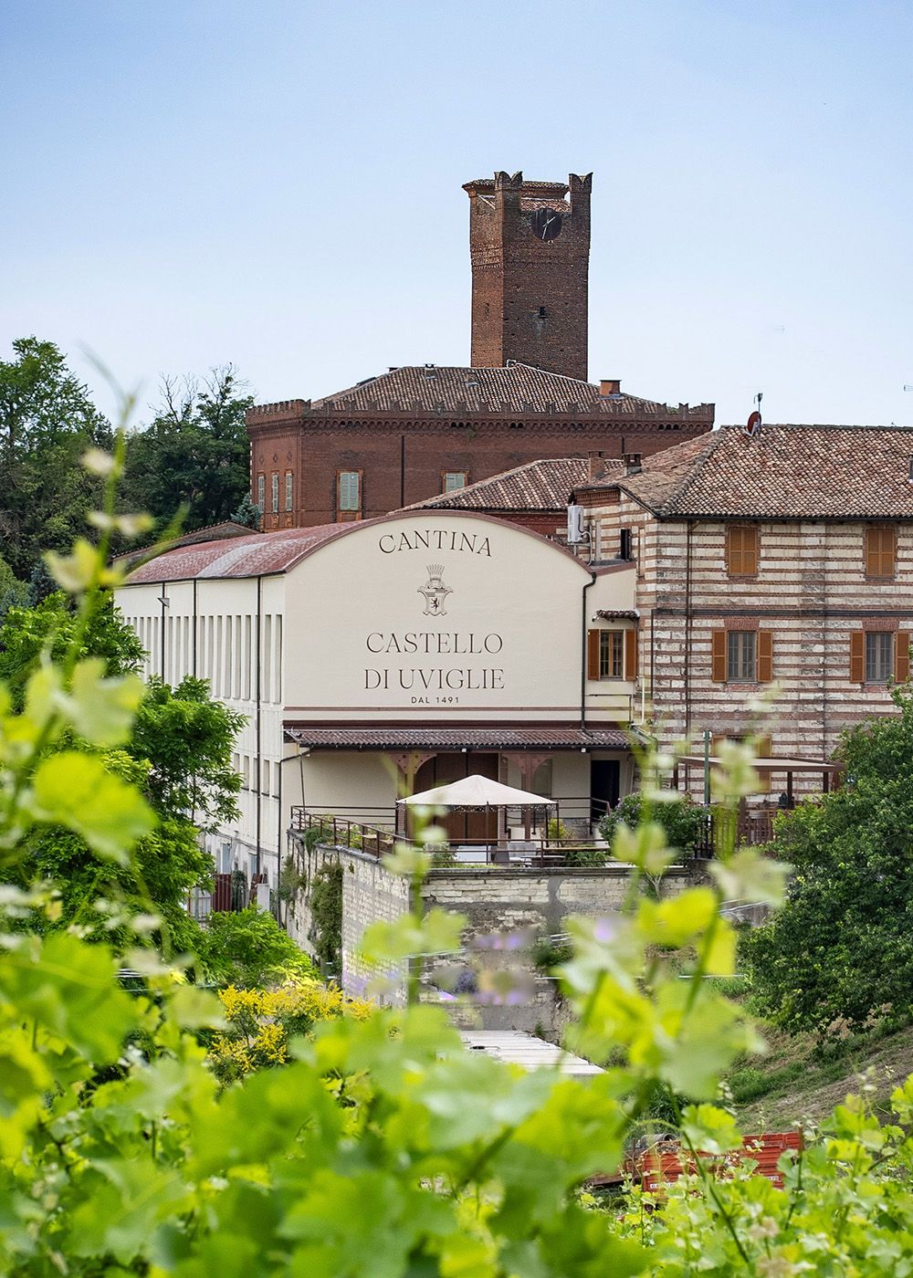 Cantina Castello di Uviglie