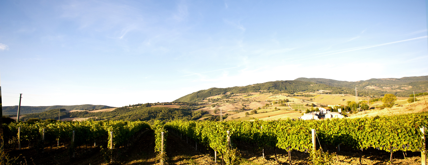 Cantina Cianfagna
