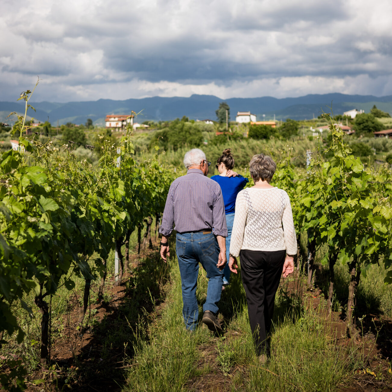 Cantina del Tufaio