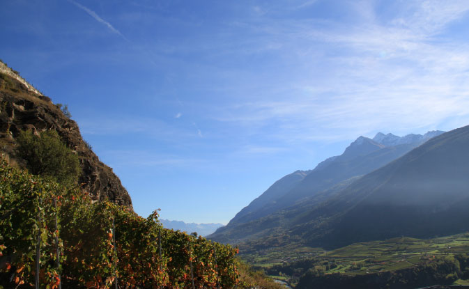 Cantina Di Barrò