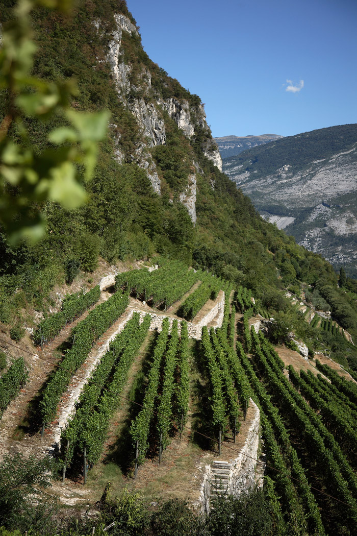 Cantina Grigolli Bruno