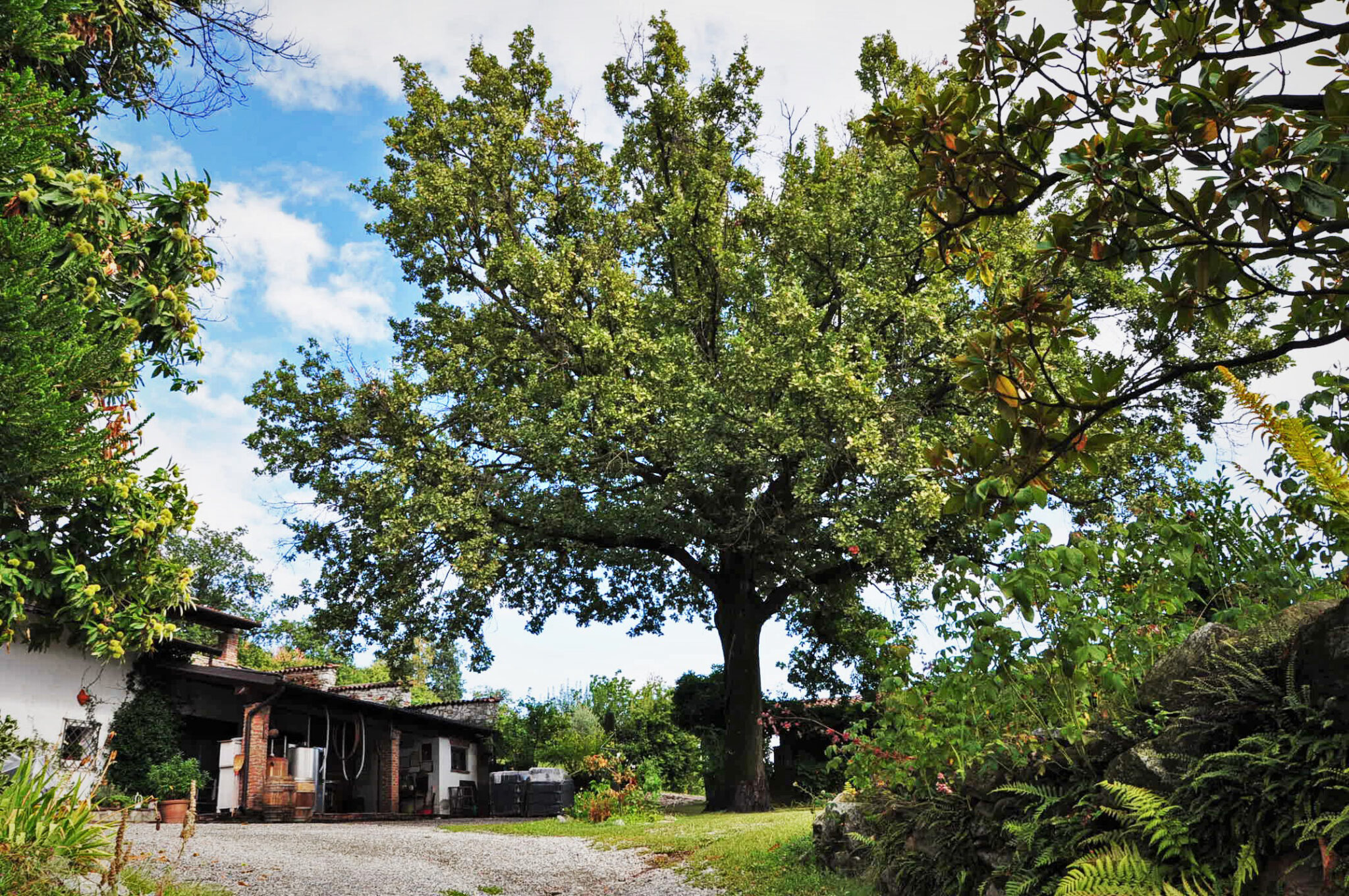 Cantina La Campore