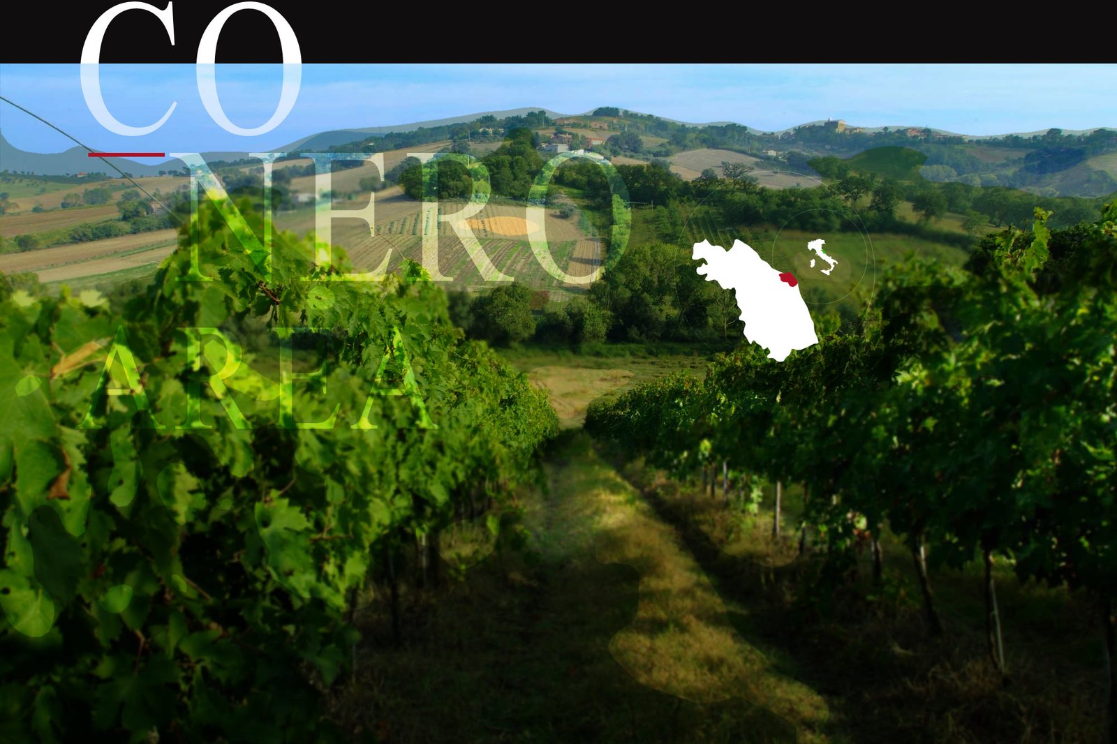 Cantina Lanari