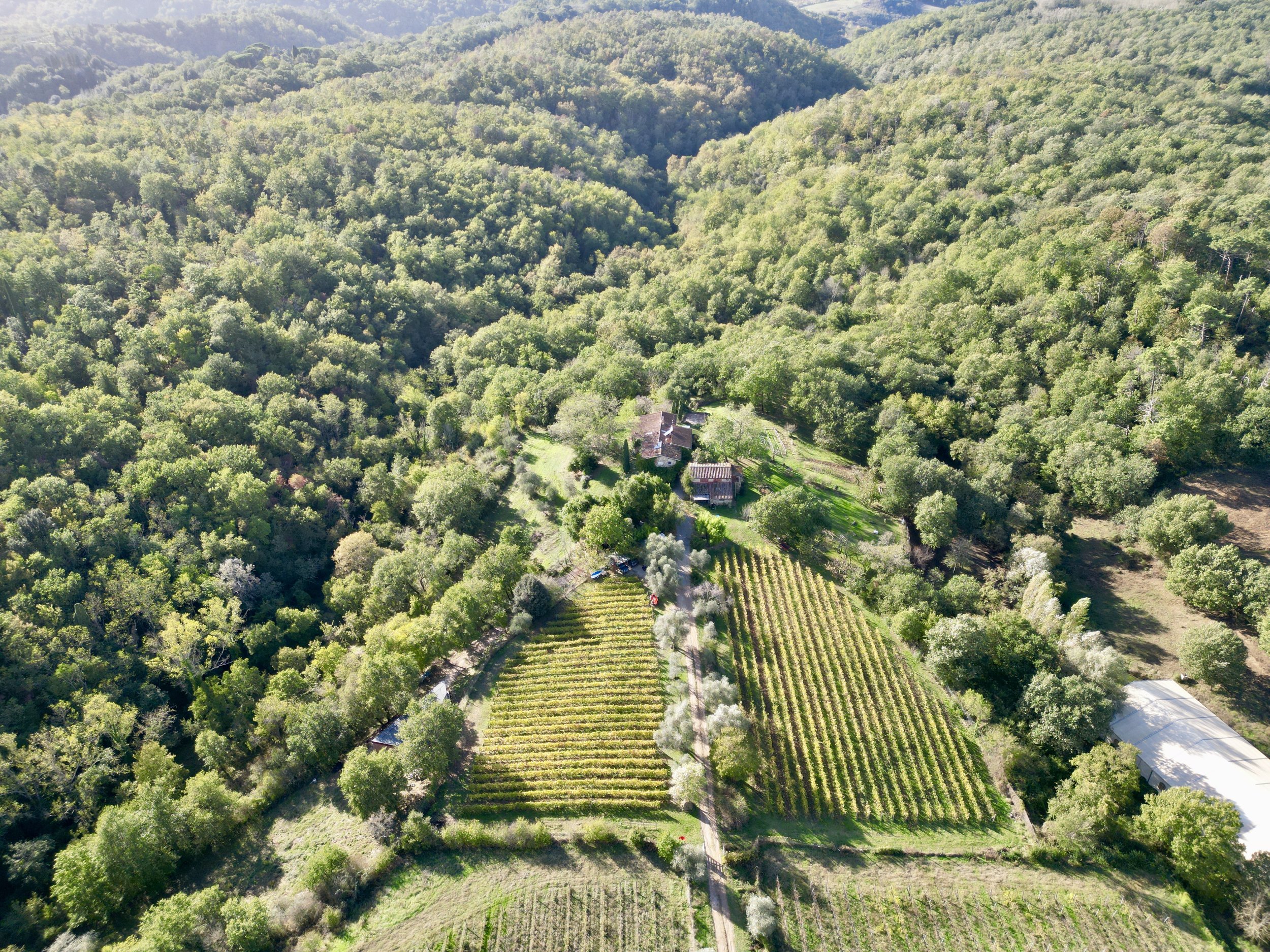 Cantina le Pietre