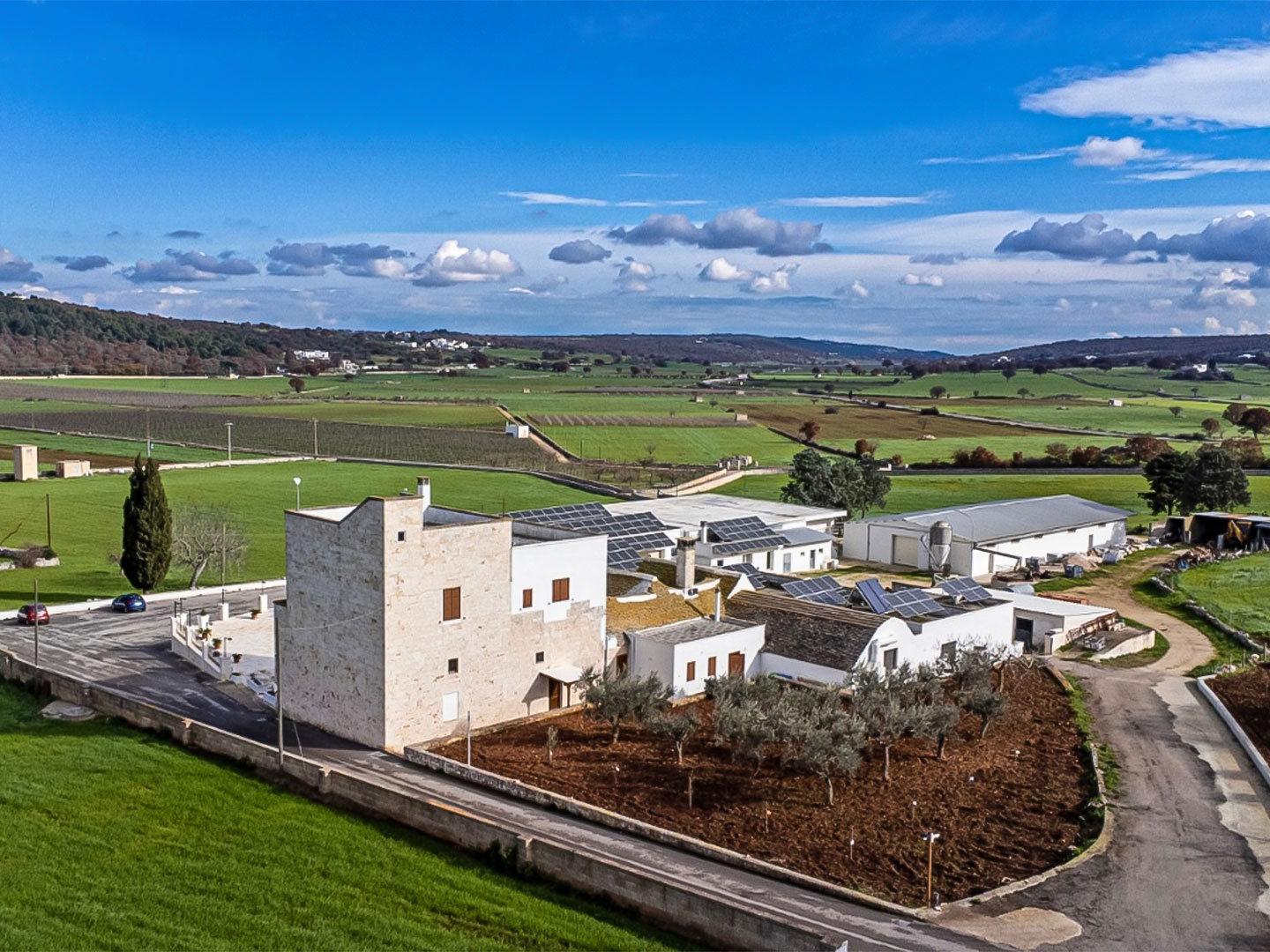 Cantina Masseria Torricella