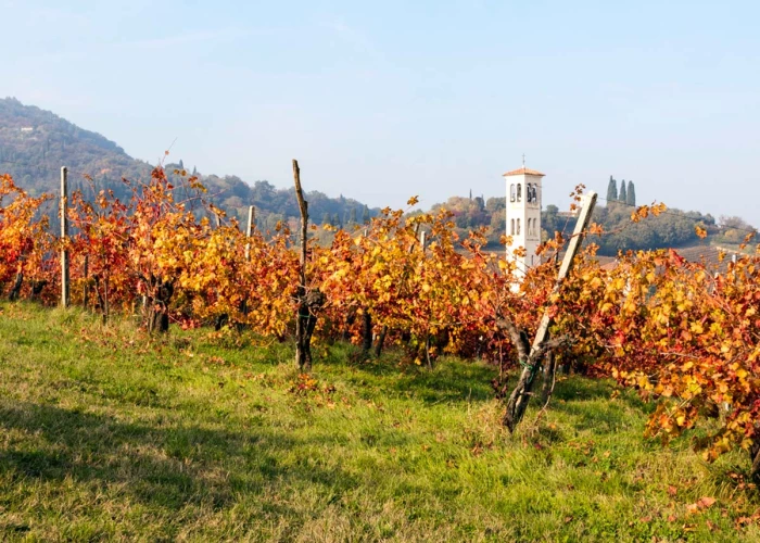Cantina Mattiello