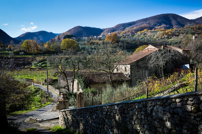 Cantine Belmesseri