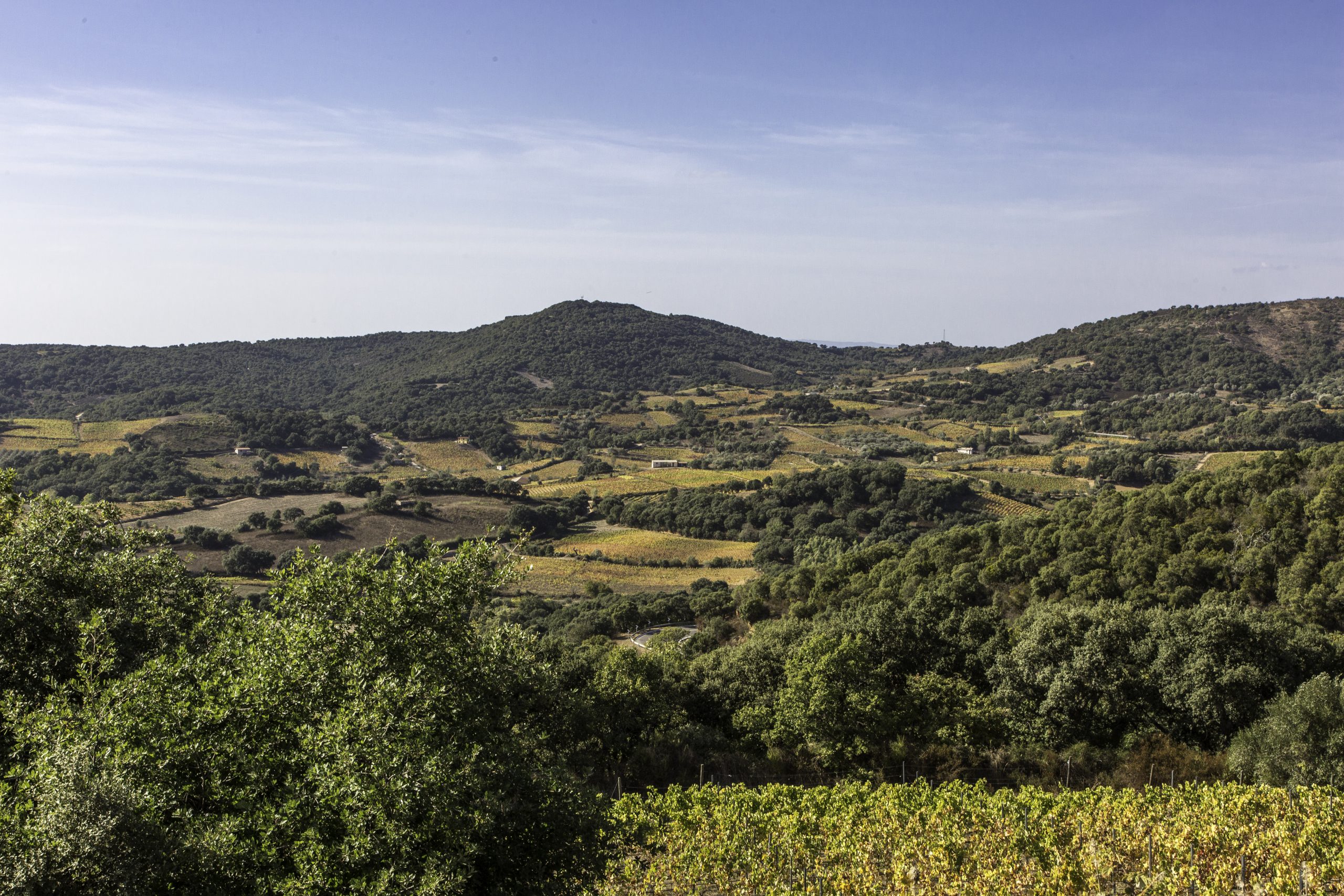 Cantine di Neoneli