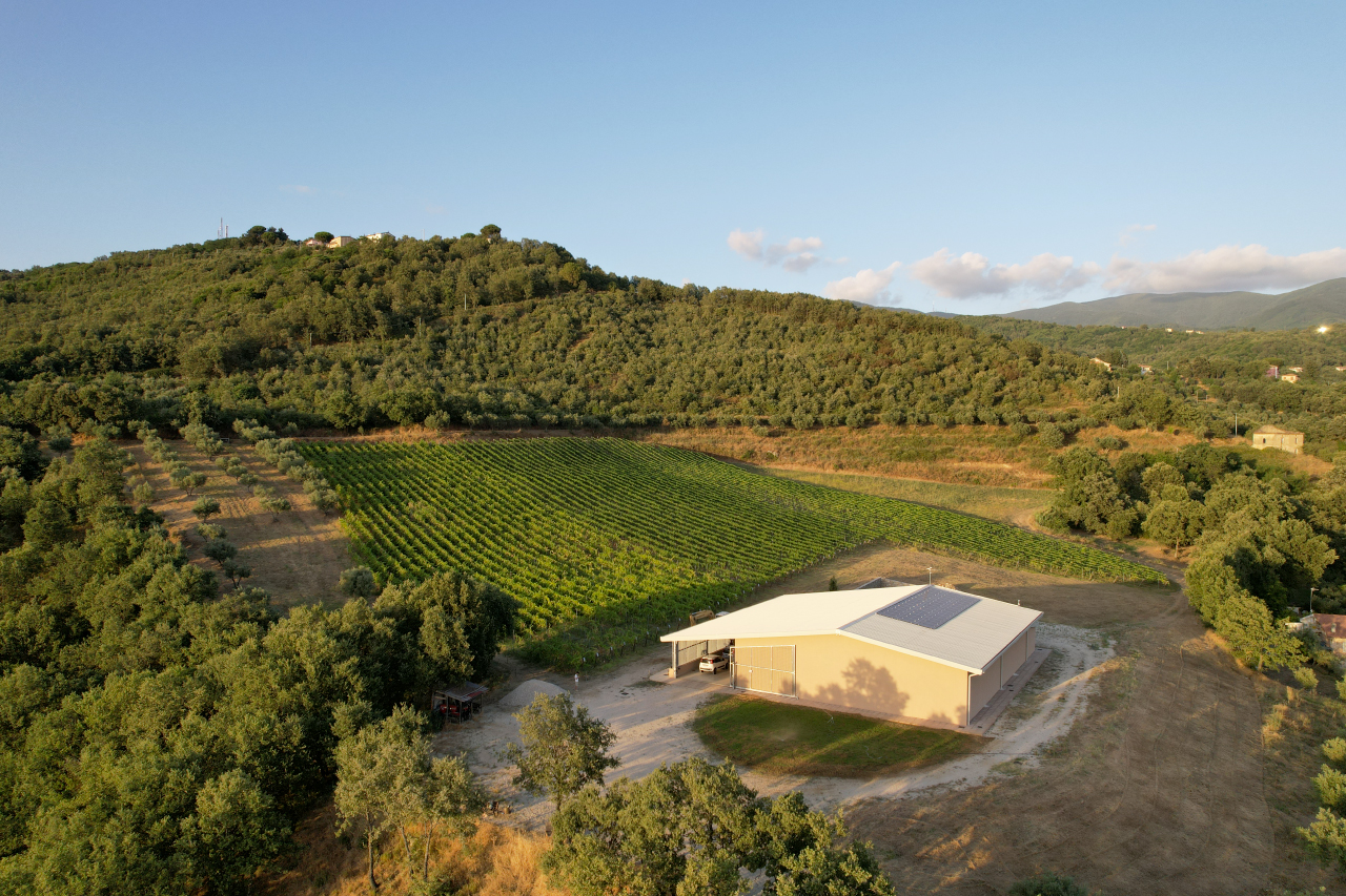 Cantine Iusi