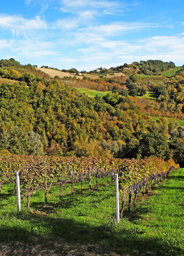 Casale Vitali