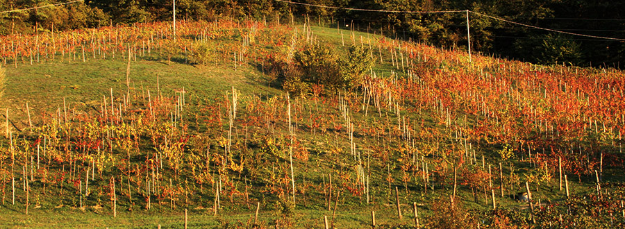 Cascina Roccabianca.