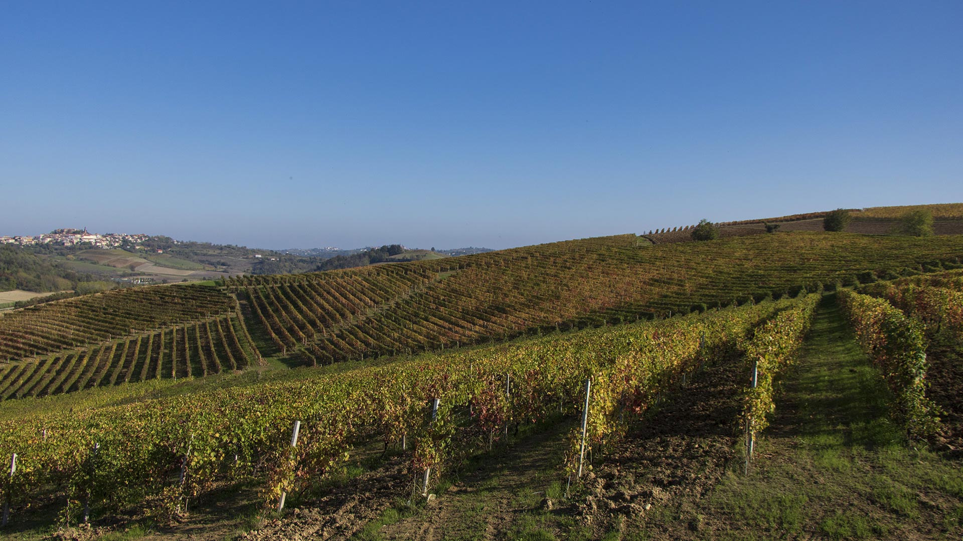 Cascina Ronco
