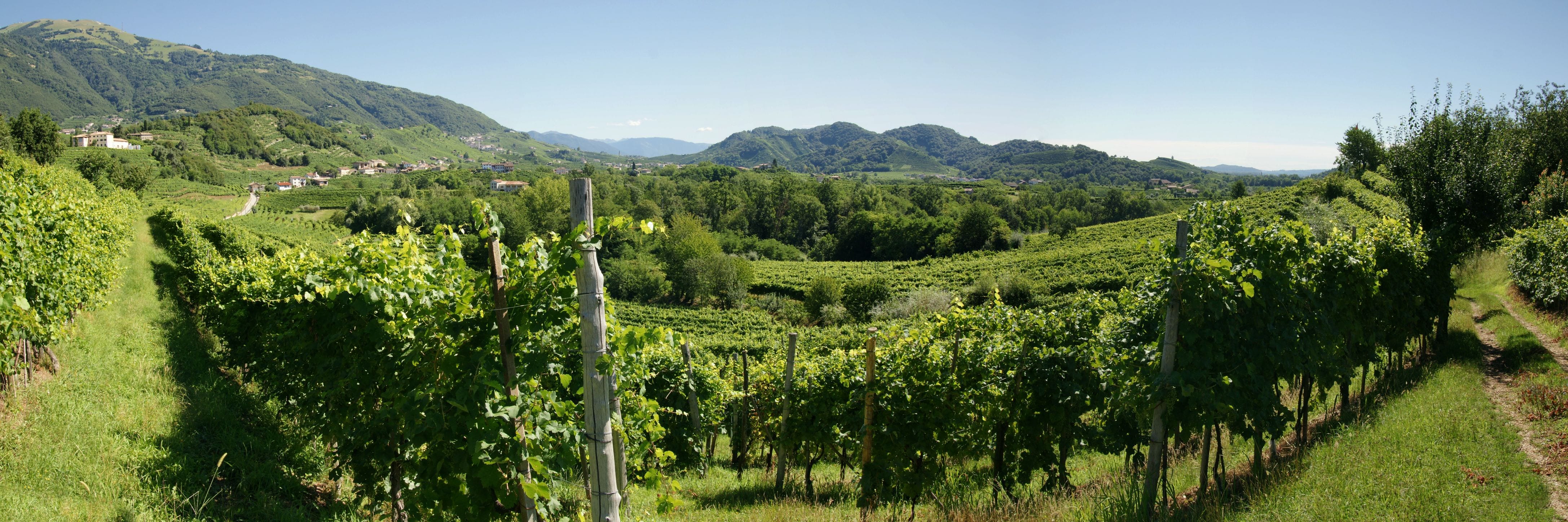CEPOL Valdobbiadene