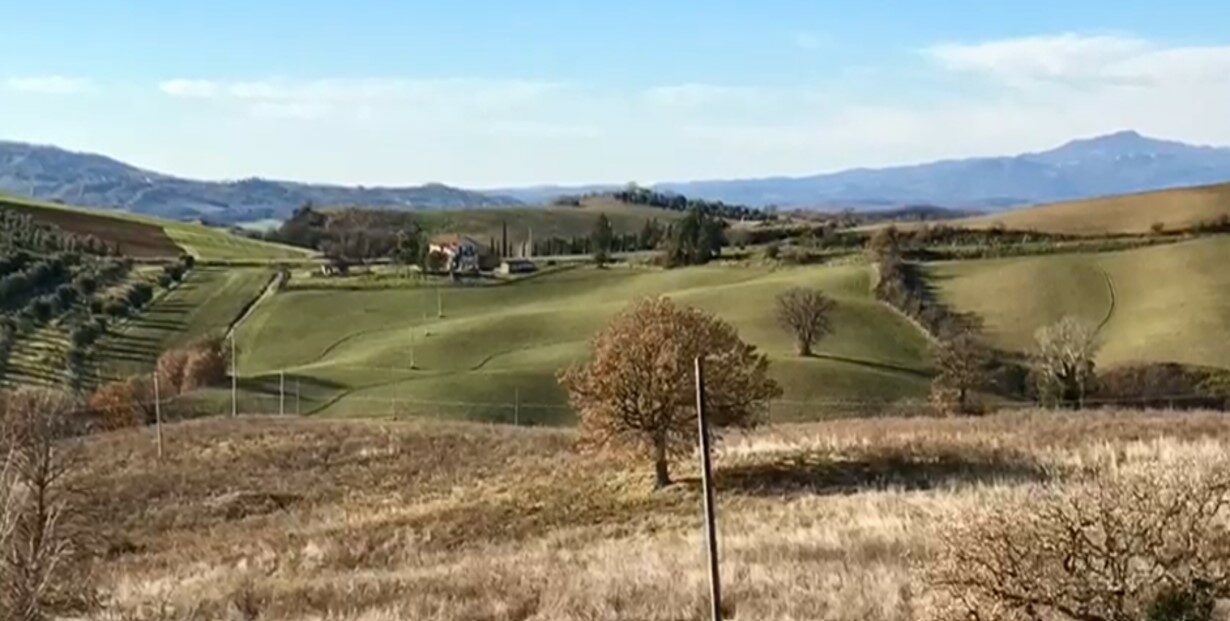Colliforti