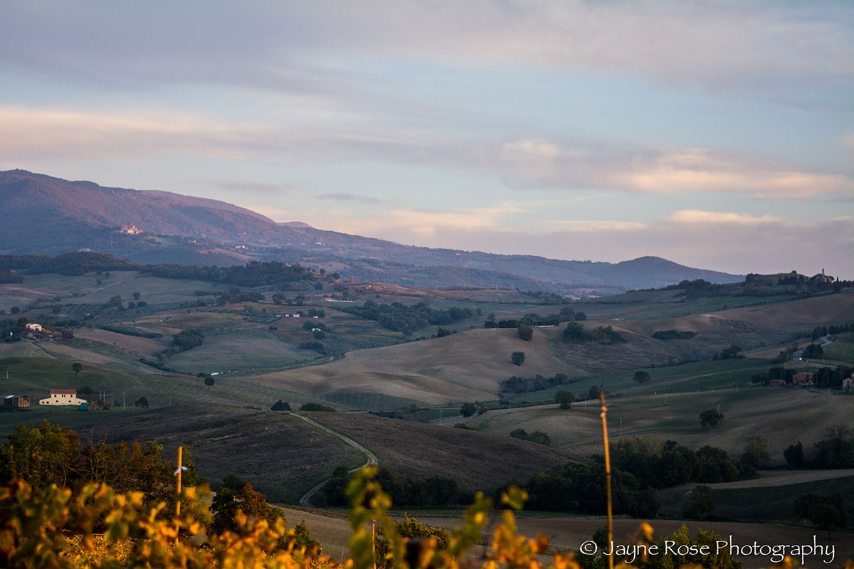 De Vinosalvo vignaioli