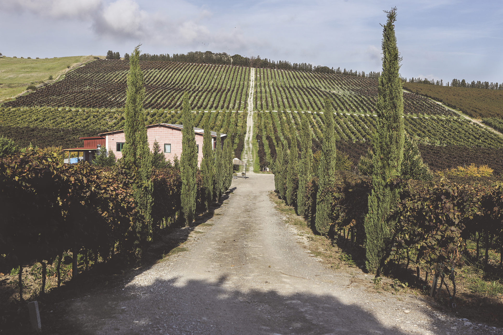 Dell'Aera Vigneti e Cantina