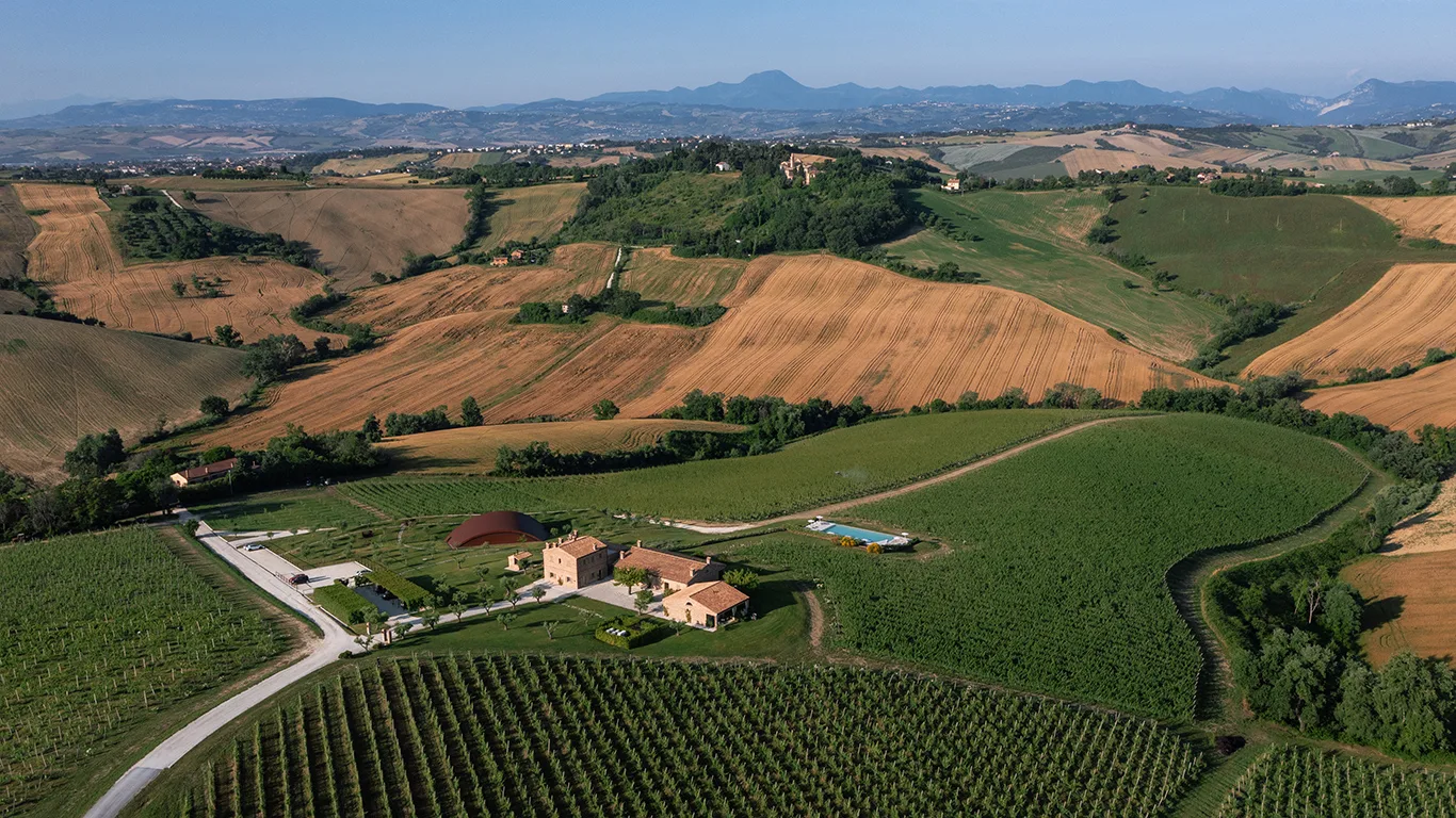 Filodivino