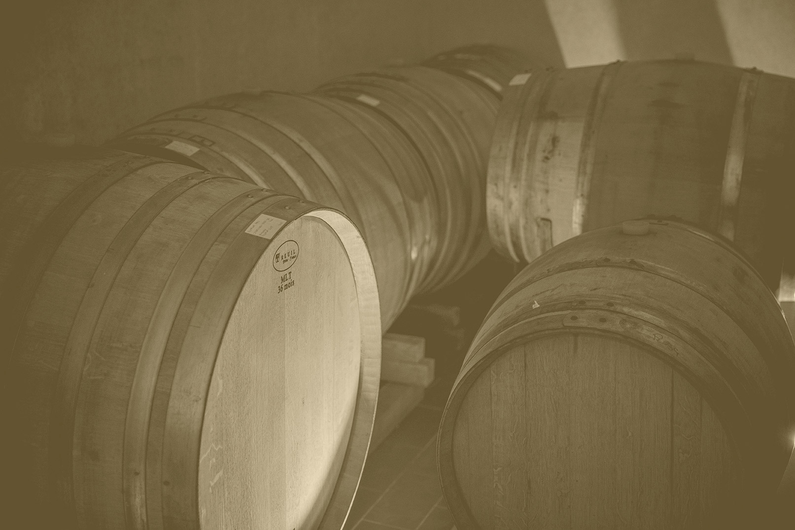 Fiorentini Vini