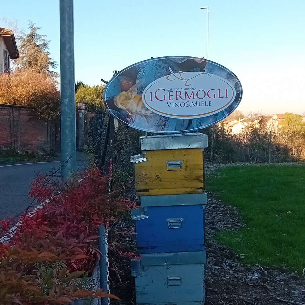 I Germogli Az. Agricola