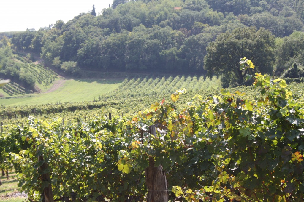 Il Mottolo