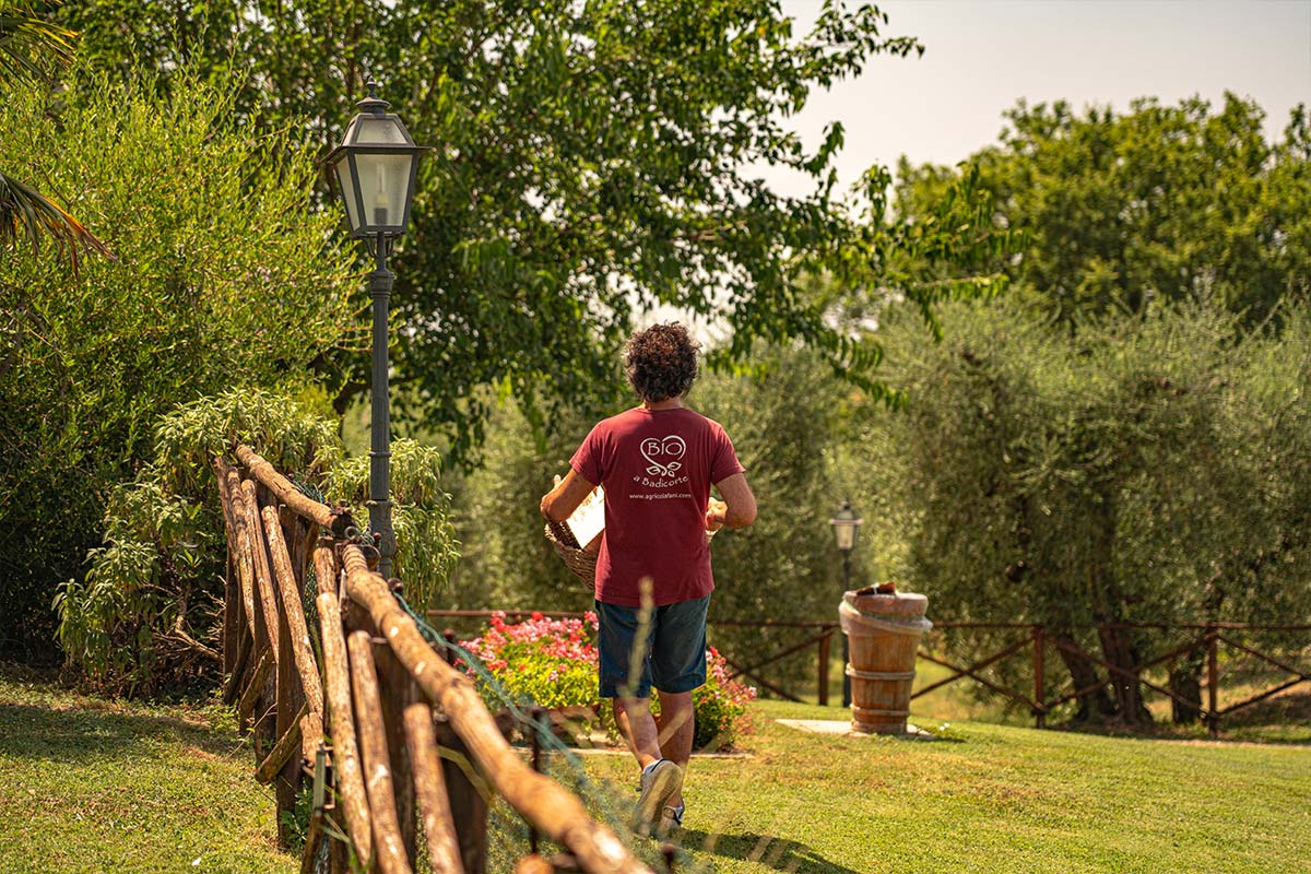 Il Querciolo - Azienda Biologica, Agriturismo e Cantina