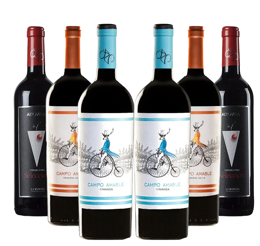 Lote degustación de vino tinto