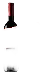 Négora Merlot