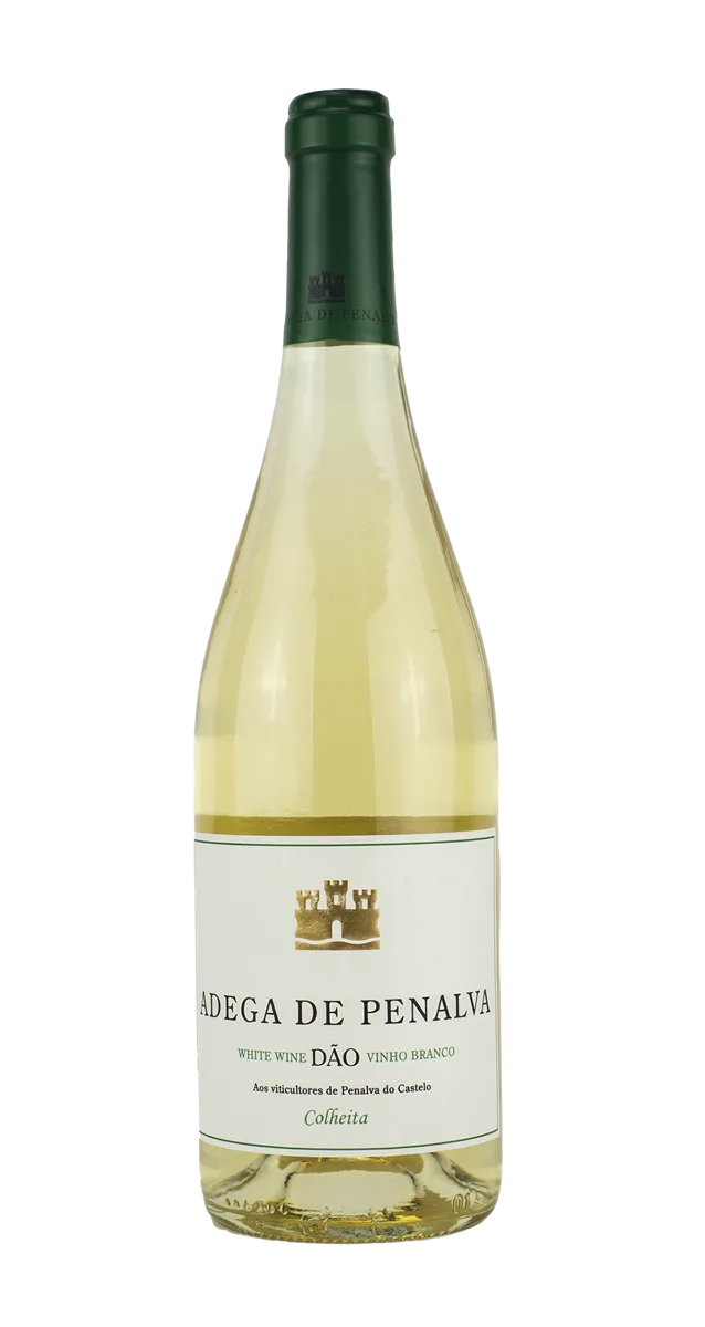 Penalva Winery - Colheita White 2024