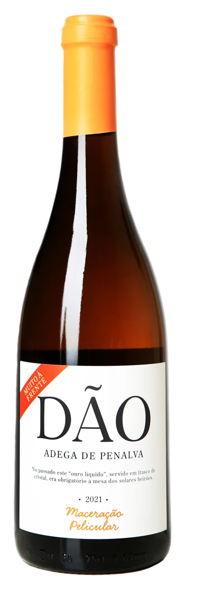 Penalva Winery - Skin Maceration 2021