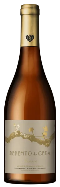 Rebento da Cepa Regional Branco