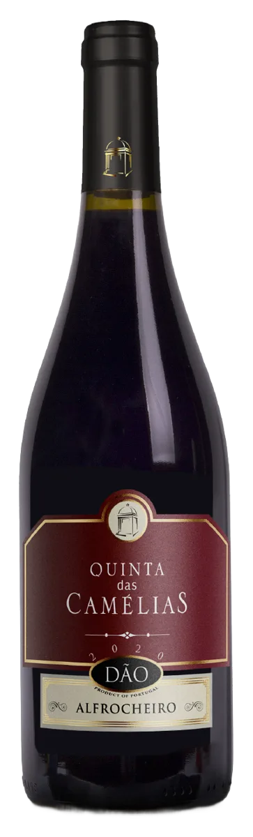 Alfrocheiro