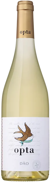 Opta Encruzado