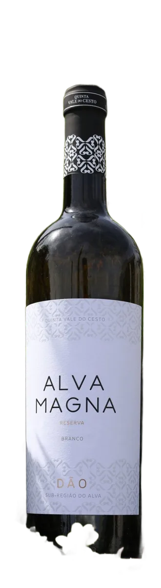 Alva Magna Reserva Branco