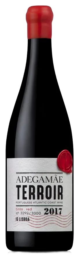 AdegaMãe Terroir Tinto