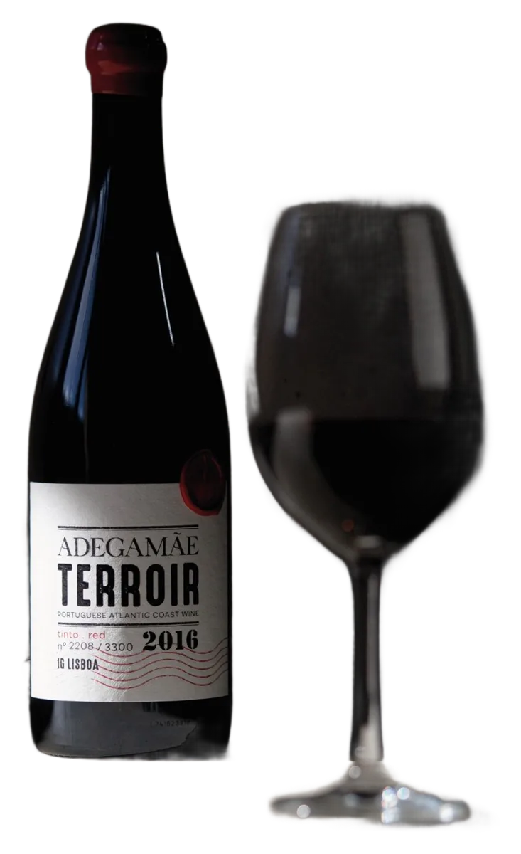AdegaMãe Terroir Tinto 2016