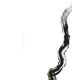 Norte